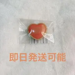 《即購入可能》 スタライ リンライ リングライト 5th レオ