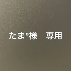 たま°様　専用ページ