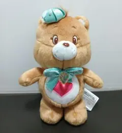 Care Bears ケアベア チョコミントMBぬいぐるみ