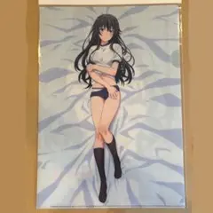 【俺ガイル】やはり俺の青春ラブコメはまちがっている。 雪ノ下雪乃 体操服