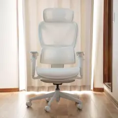 COFO Chair Pro 2 ホワイト（使用日数の少ない美品です）