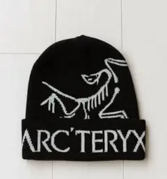 ビーニー y2k キャップ グランジ ブラック