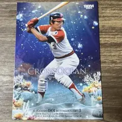 2025 BBM 35周年 CROSS OCEAN 土井正博