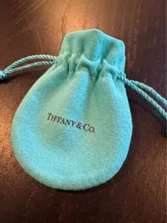 Tiffany & Co. ターコイズポーチ