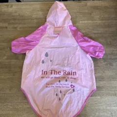 Item thumbnail for item c560635b-eecd-48cd-a172-16de556e6f75