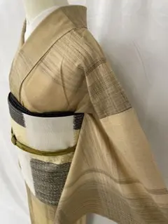 「専用　正絹単衣 紬＋白大島紬 2点」
