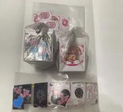 平成プリ ミニチュアチャーム プリント倶楽部 花鳥風月 姫組 2個セット