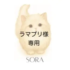 【ラマプリ様専用】プリンセスシリーズ項目印刷オーダー