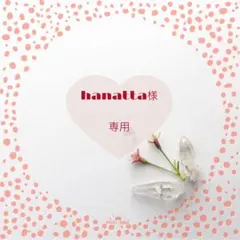 hanatta様 リクエスト 2点 まとめ商品