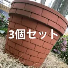 2026年最新】テラコッタ 鉢 9号の人気アイテム - メルカリ