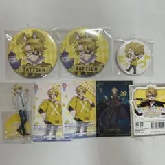 カラフルピーチ たっつん まとめ売り