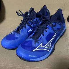 Mizuno スパイクシューズ 青金 仙台育英 - メルカリ