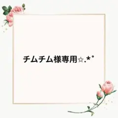 チムチム様 リクエスト 2点 まとめ商品