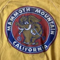 MAMBO マンボ REG MOMBASSA ヴィンテージTシャツ M - メルカリ