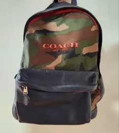 Item thumbnail for item 3242de5c-6894-41c9-97a0-ebcbed3a8b45