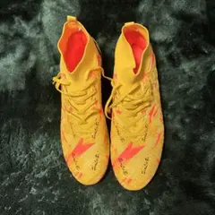 Item thumbnail for item 3cf144cc-6127-43fa-b13c-2afce6604391