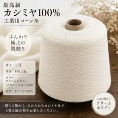 週末限定値下げ＆交渉可【12コーン】ホリゾンのカシミヤ 2/26 100
