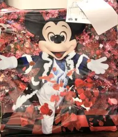 未使用 ディズニー ミッキー 蜷川実花 イマジニングザマジック カメラバッグ