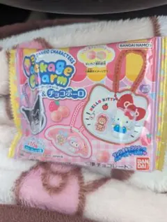 サンリオキャラクターズ パッケージチャーム ポムポムプリン★