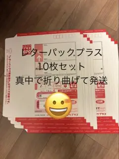 レターパックプラス 10枚セット