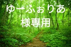 ゆーふぉりあ様専用