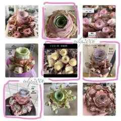 専用ページ　4点セット