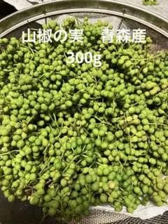 青森県産 実山椒 ☆採れたて 増量中 ☆値引き可　コメント専用 送料込み！青森県産 実山椒☆採れたて300g+増量中 ☆値引き可 - メルカリ