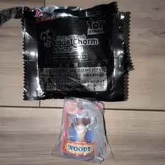 トイ・ストーリー パッケージチャーム ウッディ