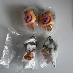 SKZOO つまんでつなげてますこっと スキズ ガチャ