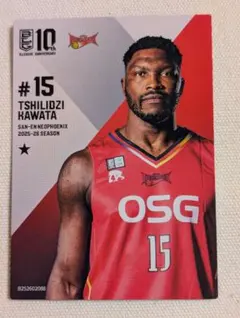 Item thumbnail for item 60cb18f0-eb40-4051-8cef-6e22712201a2