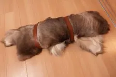 Item thumbnail for item c8272b7d-c415-4a8f-946e-d63bd47fc6a9