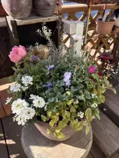 さんぴん茶様ご専用(*☻-☻*)