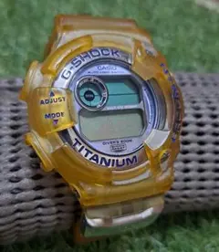 CASIO G-SHOCK DW-9900WC　フロッグマンのサムネイル