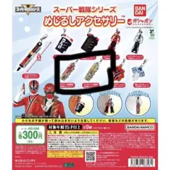 【専用】スーパー戦隊　めじるしアクセサリー