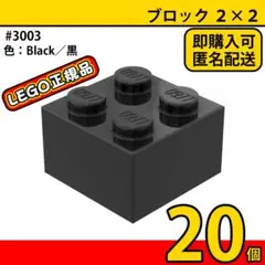 LEGO ブラック 黒 2×2 ブロック 20個／新品,正規品,3003,L1