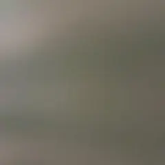 専用