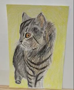 色鉛筆画A4見上げる瞳 キジトラ猫 - メルカリ