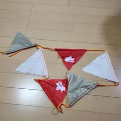 Item thumbnail for item 6300bd90-0852-4906-bde2-94704b837064