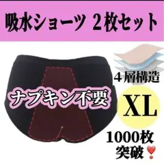 サニタリーショーツ 生理用ショーツ 吸水 防災グッズ 災害時用 多い日用 尿漏れのサムネイル