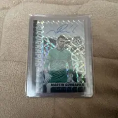 Item thumbnail for item 7d43934a-41f4-49ca-ad51-bc95a569c61d