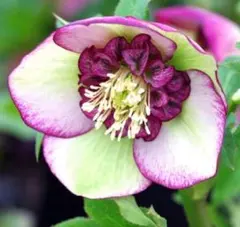 chokutti様 リクエスト 3点 まとめ商品