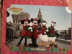 東京ディズニーランド クリスマスフォト
