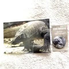 Item thumbnail for item 49681d86-09db-4e89-bf13-45538ce8c3b7