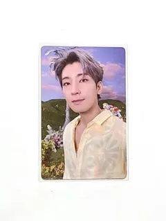 SEVENTEEN  SECTOR17 トレカ　ウォヌ　リパケ　BEGINNIN