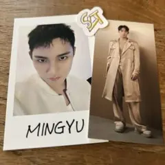 SEVENTEEN ミンギュセット