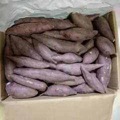 徳島県産　鳴門金時さつまいも 訳あり 不揃い 箱込み 約3kg　小さ目　ミニのサムネイル