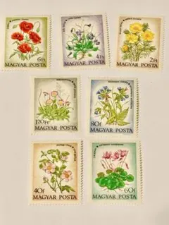 cocosan様 リクエスト 2点 まとめ商品