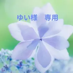 ゆい様専用　ブローチ2点