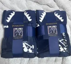 Item thumbnail for item e73574f5-c21c-453c-8705-5640f0d3d337