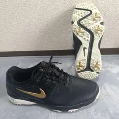 Item thumbnail for item 411764e7-838d-4d02-9b01-065918392b26